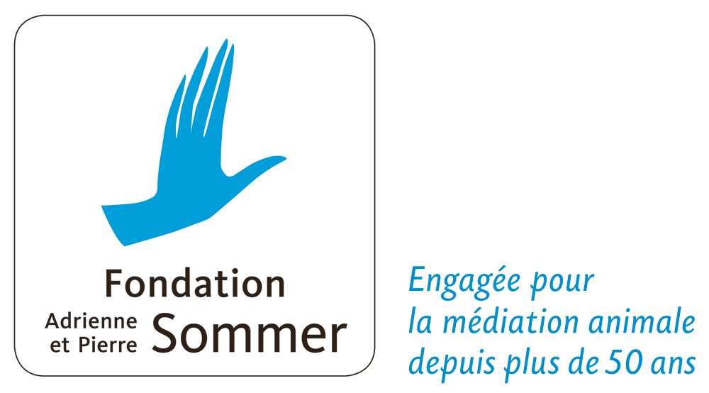 PNG _ Fondation Adrienne et Pierre SOMMER - LOGO 2024